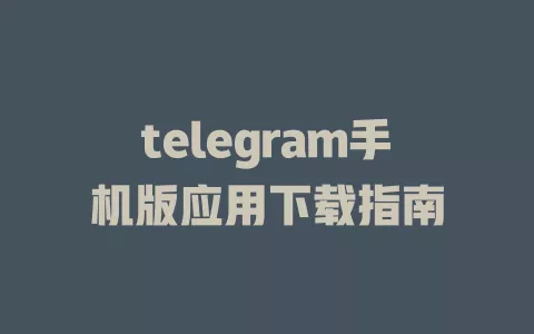 telegram手机版应用下载指南