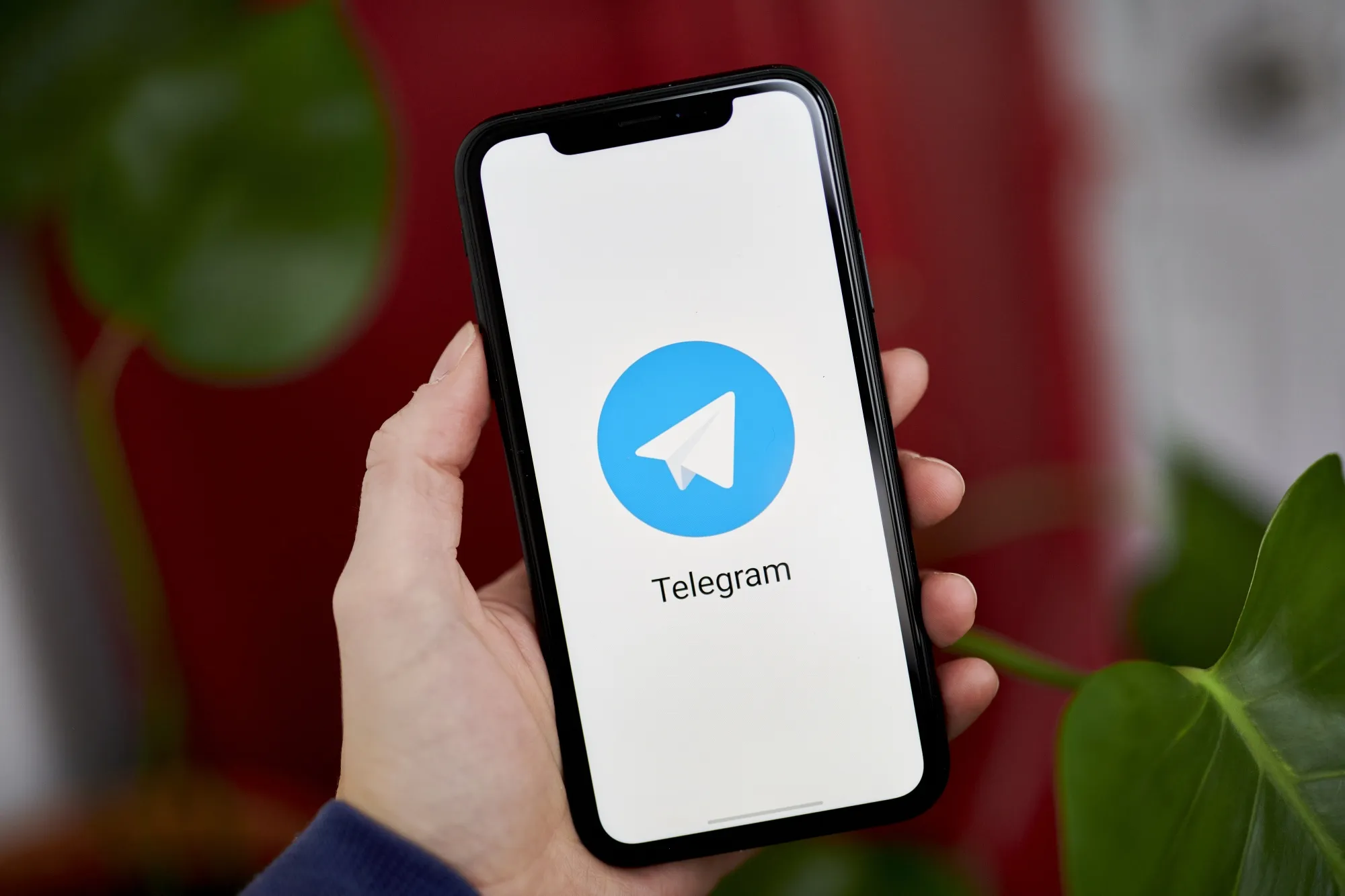 telegram电脑版下载安装指南 三