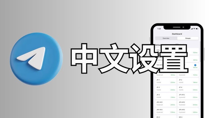 纸飞机官网中文版链接